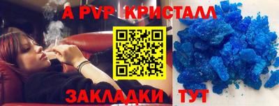 крисы Кингисепп