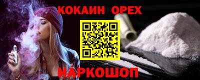 крисы Кингисепп