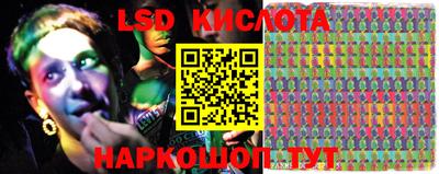 крисы Кингисепп
