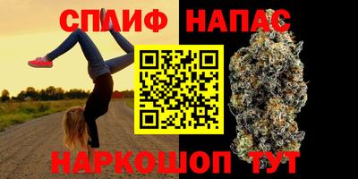 крисы Кингисепп