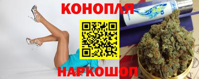 крисы Кингисепп