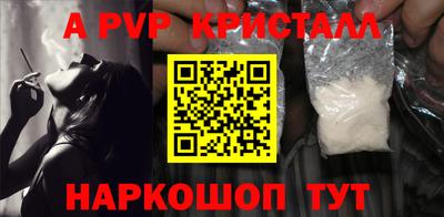 крисы Кингисепп