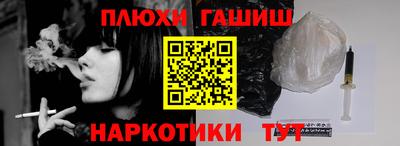 крисы Кингисепп