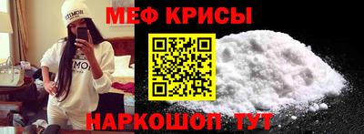 крисы Кингисепп
