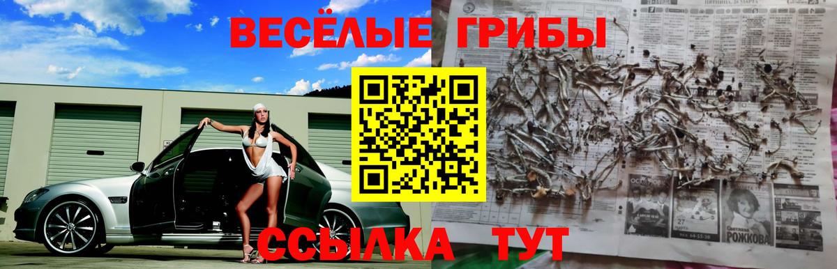Галлюциногенные грибы Psilocybe Котельники