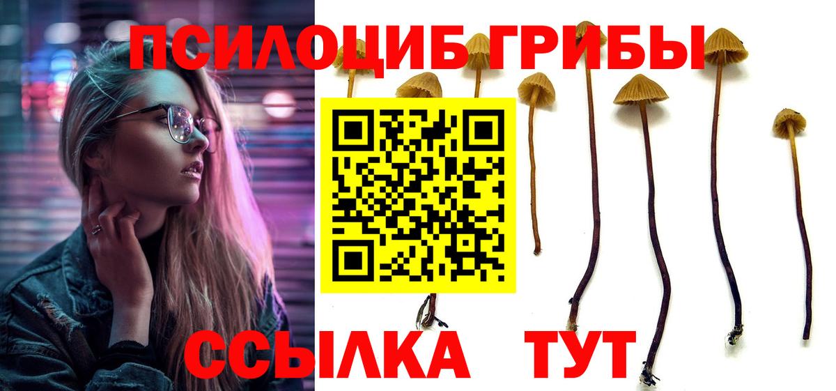 Котельники  Псилоцибиновые грибы Magic Shrooms  Вход с VPN  Псилоцибиновые грибы ЛСД 